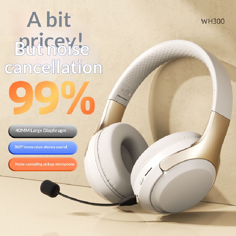 Over Ear Wireless Bluetooth He – Phone Accessories Officeworks Bewertung und Preis